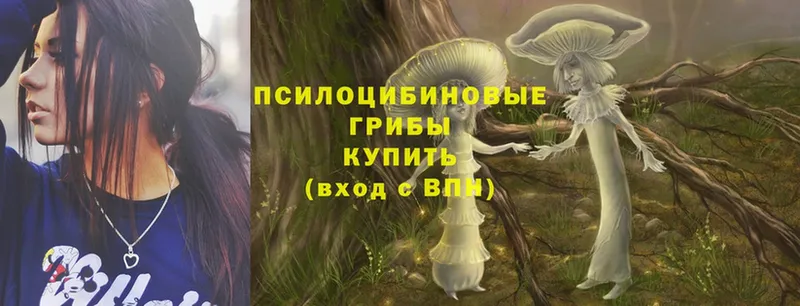 Галлюциногенные грибы MAGIC MUSHROOMS  Шелехов 